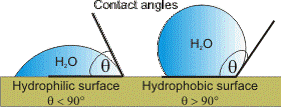 hydrophobic diagram